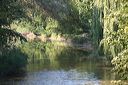 sande_2006_150